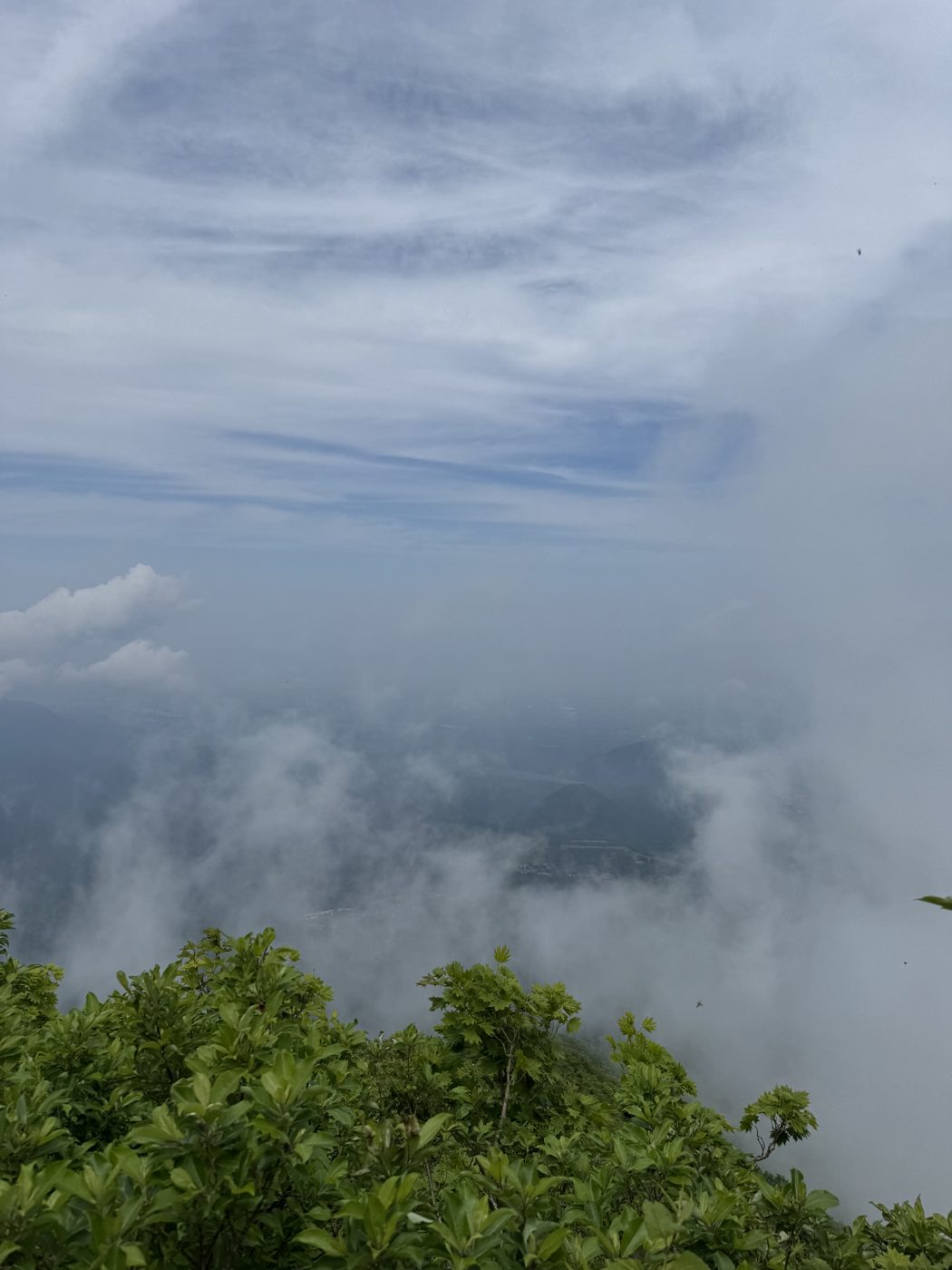 眼下に広がる雲海。下界は雲の下