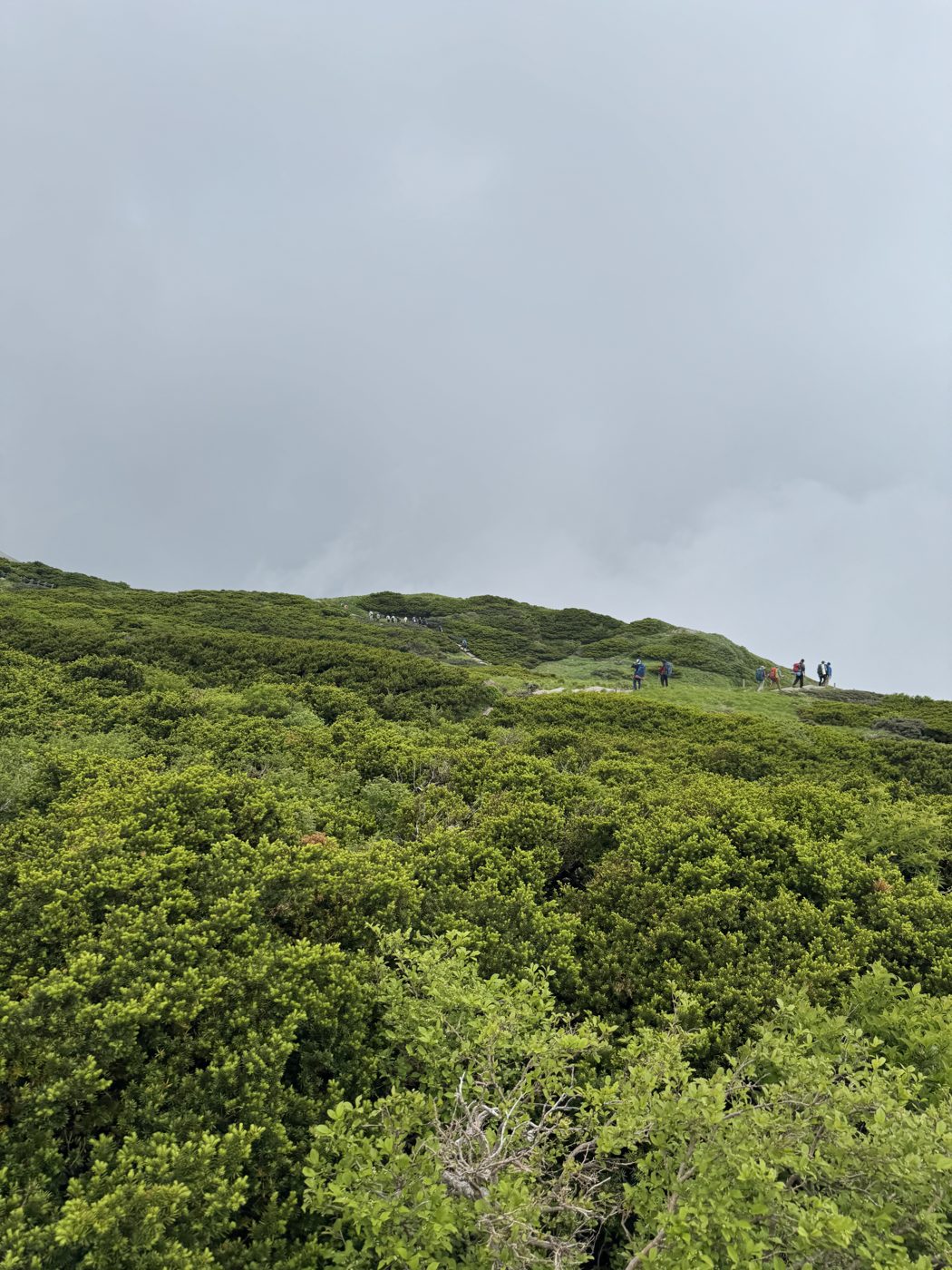 稜線を行く登山者。山頂はもうすぐ