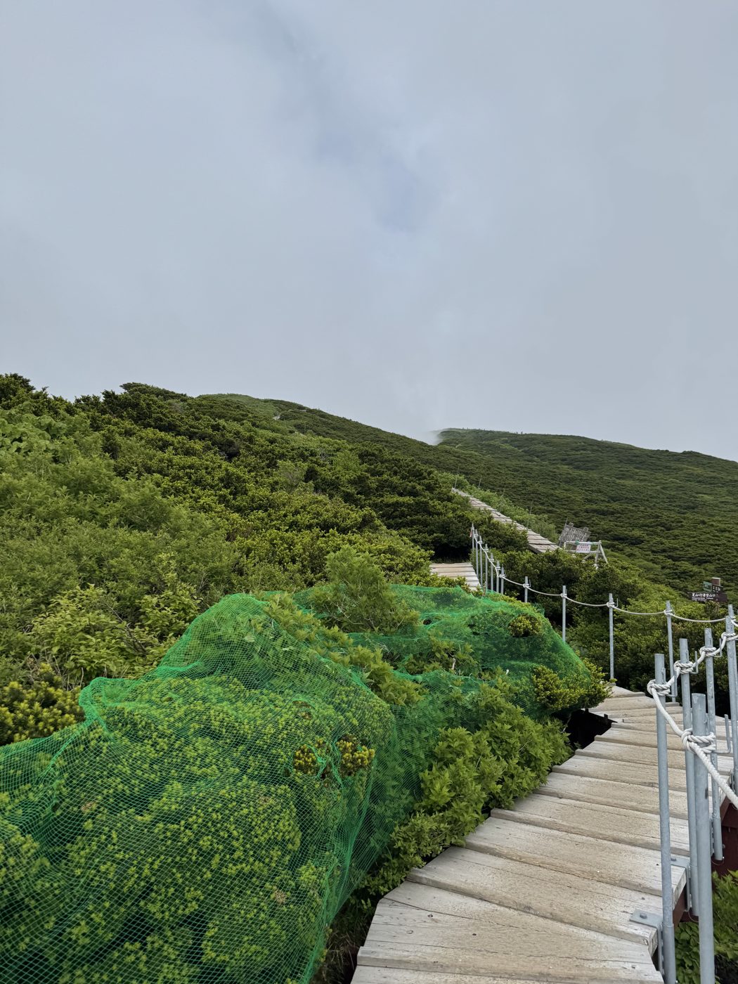 貴重な植生を守る木道と保護ネット